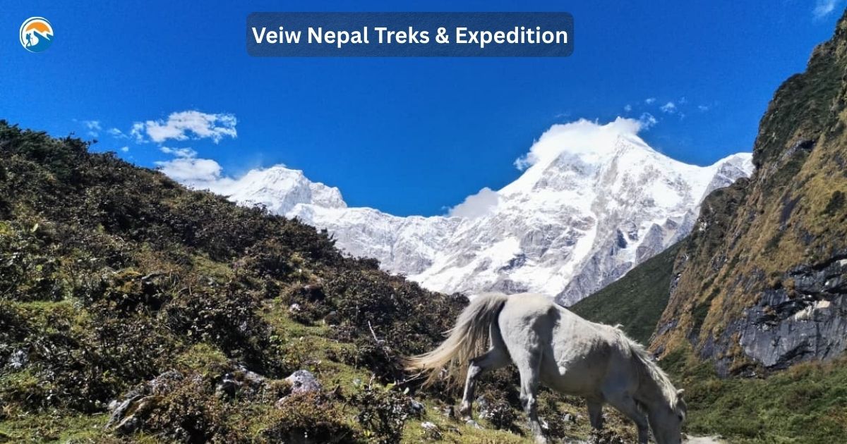 manaslu-trek-overview