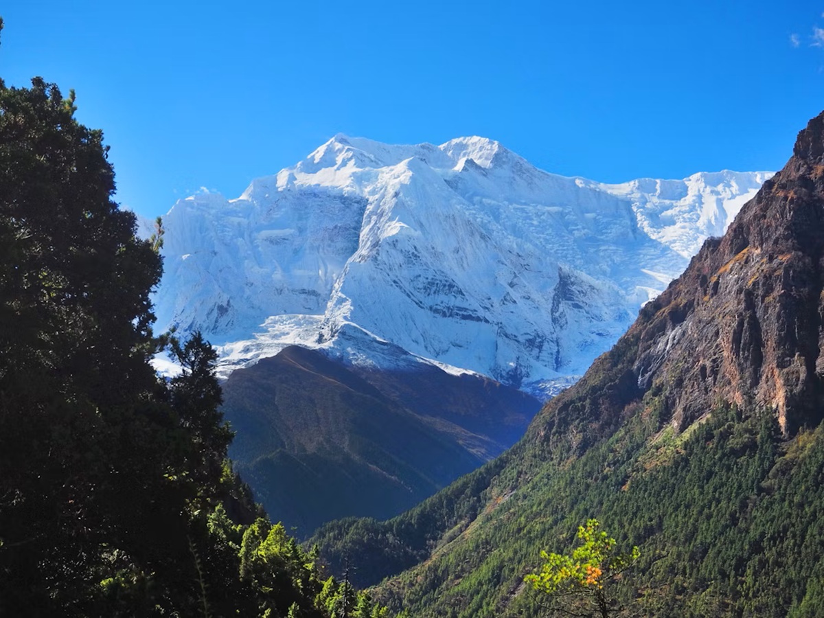 Annapurna Circuit Trek Experience